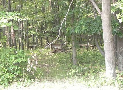 3rd image of 317 Meadow Way