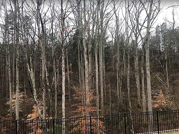 4th image of 143 Batten Ridge Dr