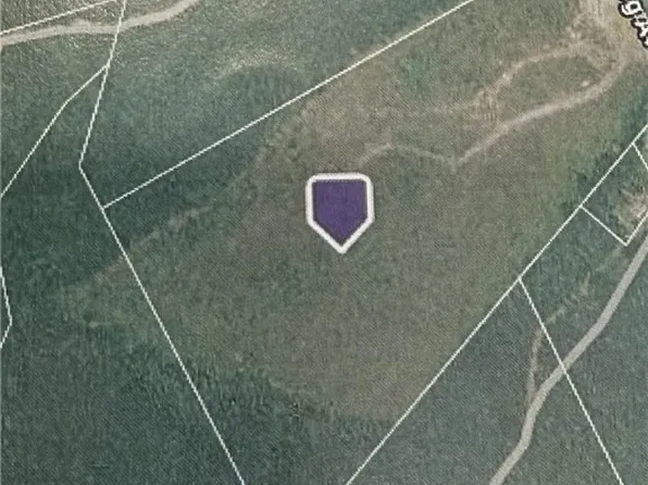 0 Moses, Victoria, VA 23974