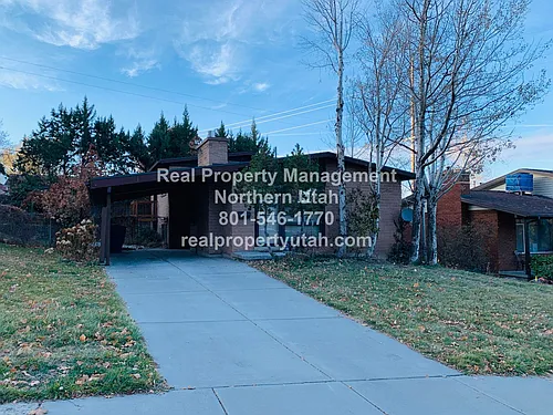 1463 3rd St Photo 1