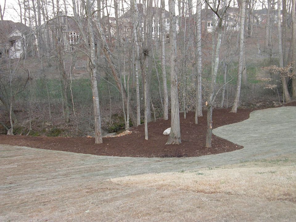 Middle of Backyard