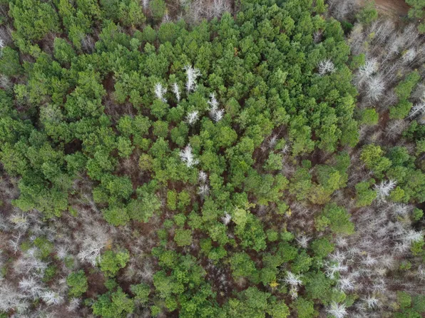 19115 Andrew Jackson Highway E, Bolton, NC 28423