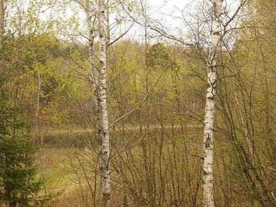 XXX East Long Lake Rd, Iron River, WI, 54847