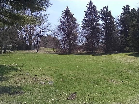 Beautiful park-like backyard.