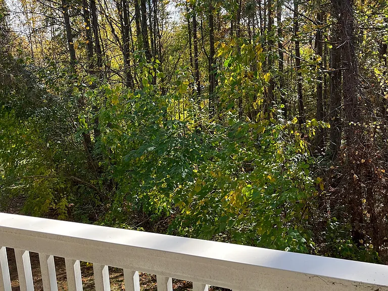 Balcony - view