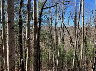 406 Barefoot Rise, Hiawassee, GA 30546