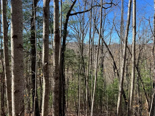406 Barefoot Rise, Hiawassee, GA 30546