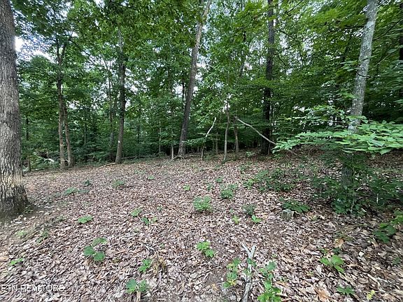 5th image of 3278 Hillside Pl Lot 1427