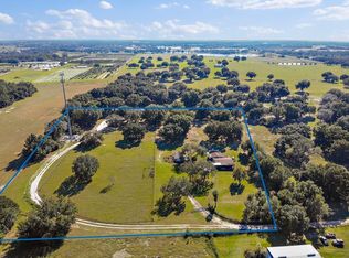 3900 Lake Brite St, Groveland, FL 34736