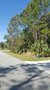 39 Pineapple Dr, Palm Coast, FL, 32164
