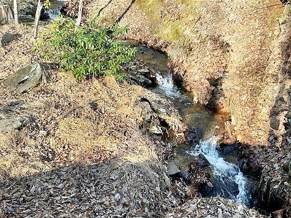 4th image of 1649 Moss Patch Trl #1649