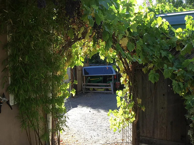 Lockwood Dr — Photo 3