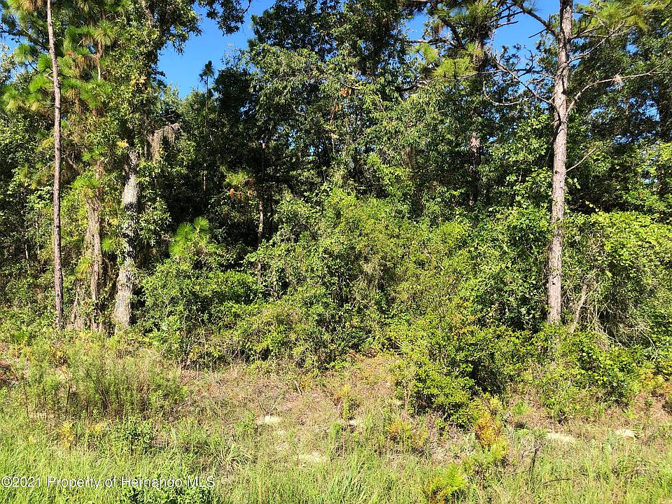 2nd image of 0 Crider Rd