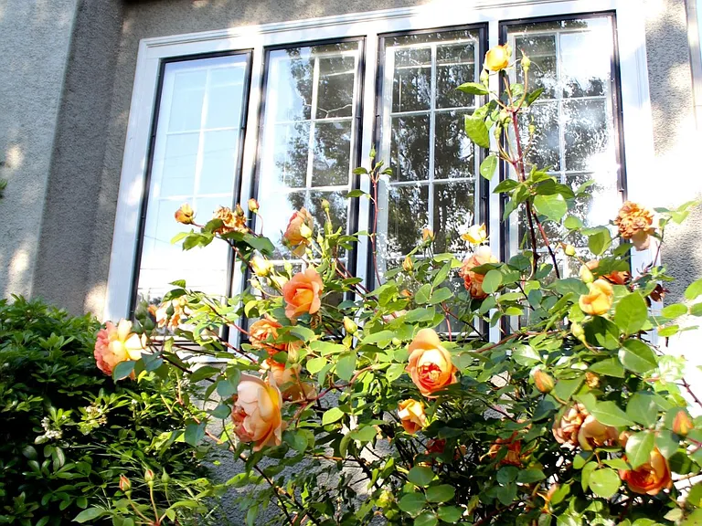 2635 NE 30th Ave — Photo 7