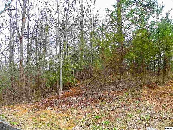 4th image of 6 Shadyview Ridge Rd #6