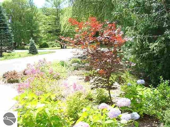 3rd image of 8828 Wintergreen Ave