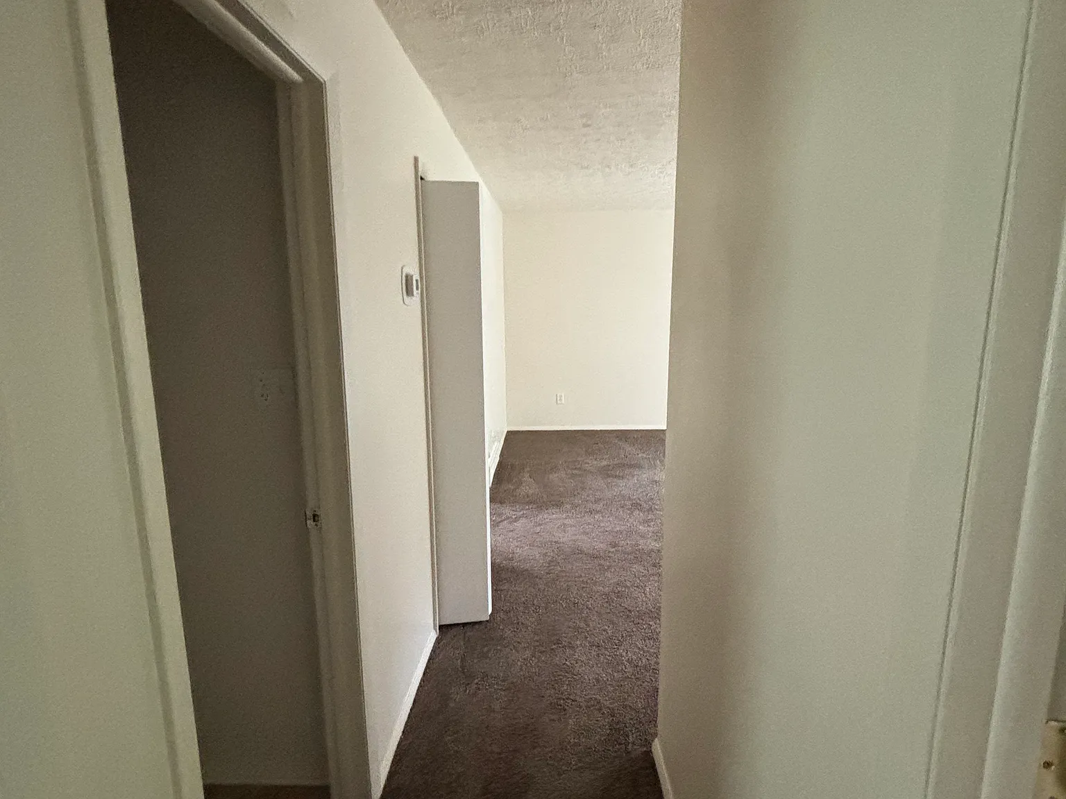 3 bed, 1300 sqft, $1,650 — Photo 3