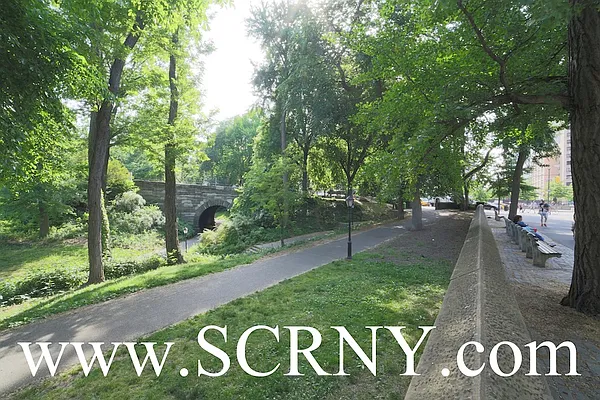 Rented by Stonecrest Realty | media 1