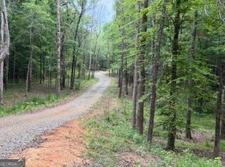 2180 Dunn Rd, Molena, GA 30258