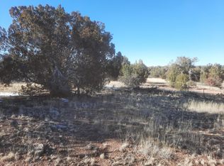 31376 W La Hija, Seligman, AZ 86337