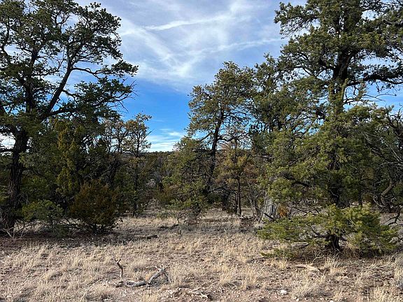 4th image of Apache Pass