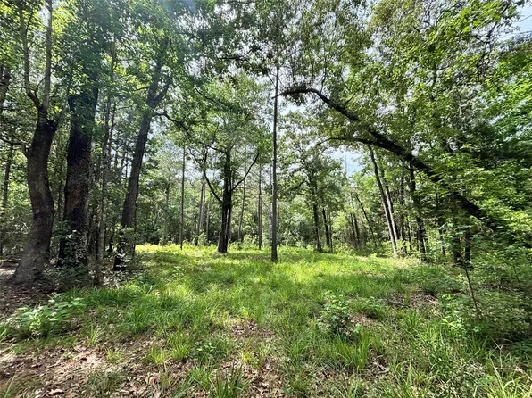 0 Peyton Ln, Hillister, TX 77624