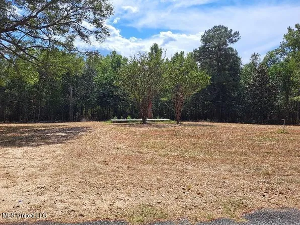 6 Old Gravel Rd #49, Mendenhall, MS 39114