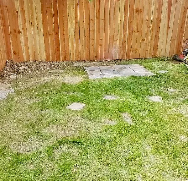 6121 Terrell Dr — Photo 11