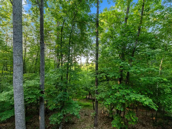LOT 1 Hemptown Overlook, Morganton, GA 30560