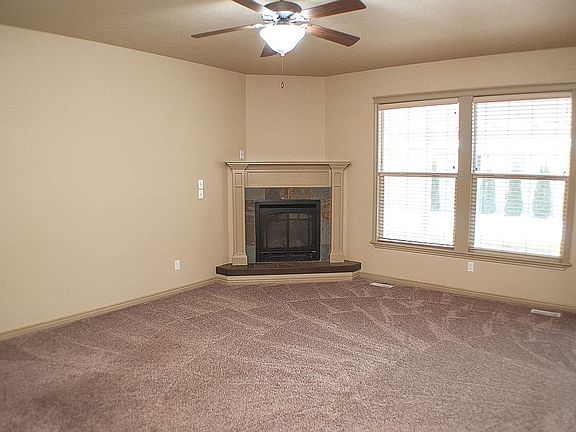 Attractive Gas Fireplace
