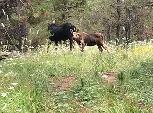 3803 Totem Rd, Island Park, ID 83429