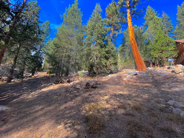 56871 Tamarack Drive, Springville, CA 93265