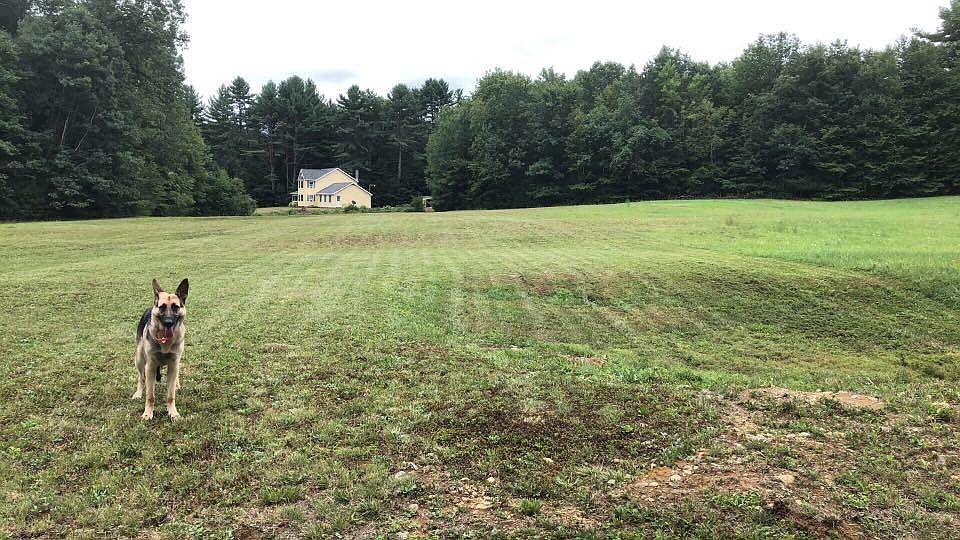 237 Fuller Rd, Queensbury, NY 12804 Zillow