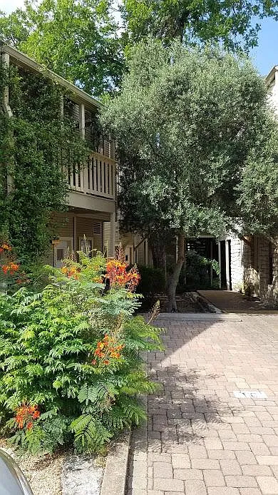 1 bed, 410 sqft, $1,200 — Photo 2