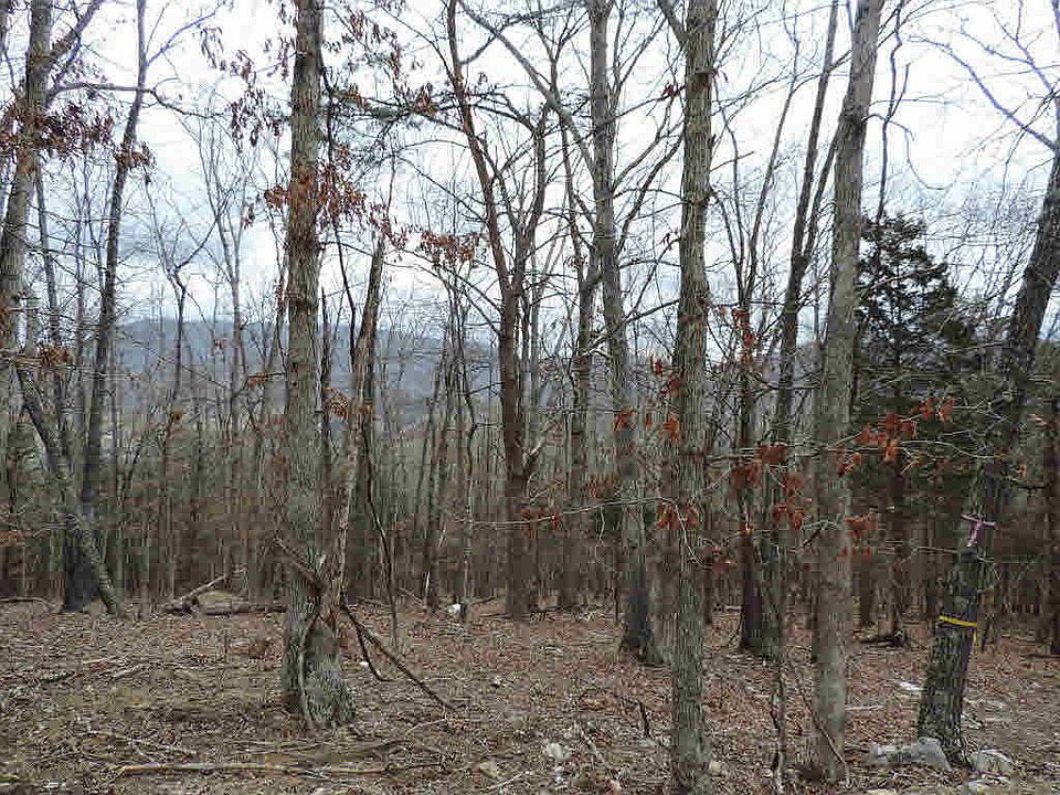 2nd image of 1194 Nellies Cave Rd