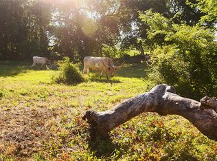 316 Flowing Wells Rd, Pottsboro, TX 75076