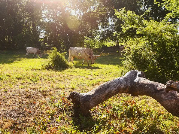 316 Flowing Wells Rd, Pottsboro, TX 75076