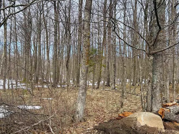 LOT 25 Fordville Rd, Foster City, MI 49834