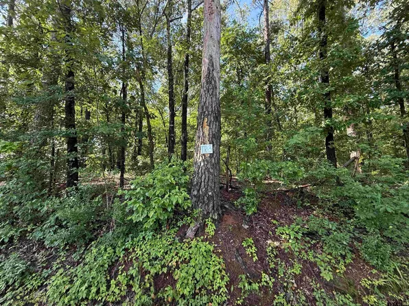 County Road 4194 Trl #3, Henderson, TX 75654