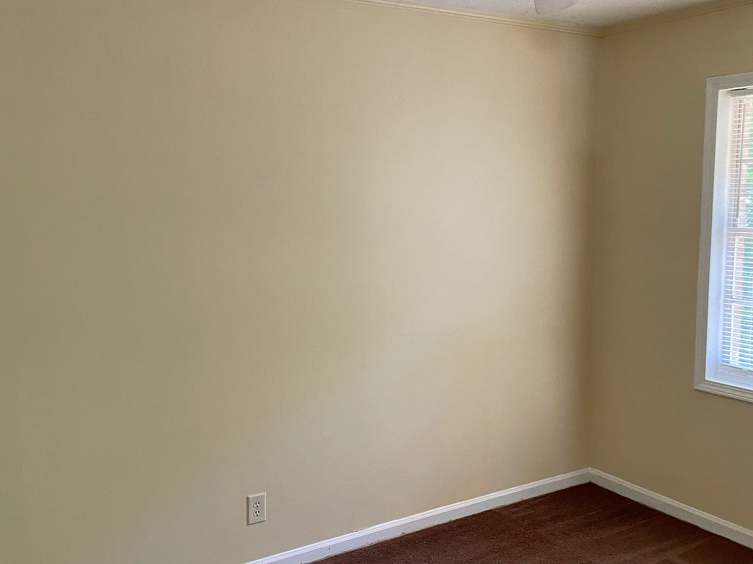 2 bed, $1,100 — Photo 4