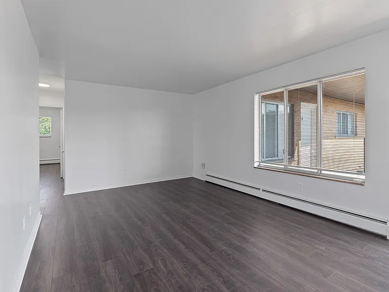 11611 Morang Dr — Photo 5