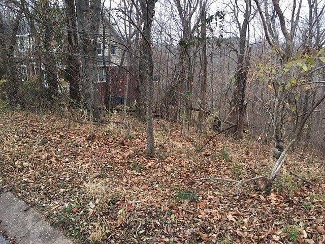 1st image of 1917 Appomattox Dr