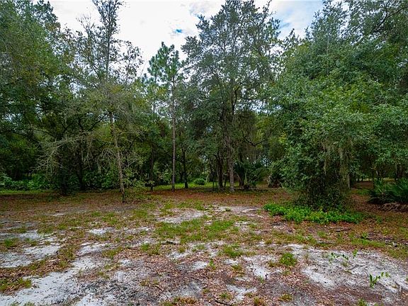 4th image of 3138 Bright Lake Cir