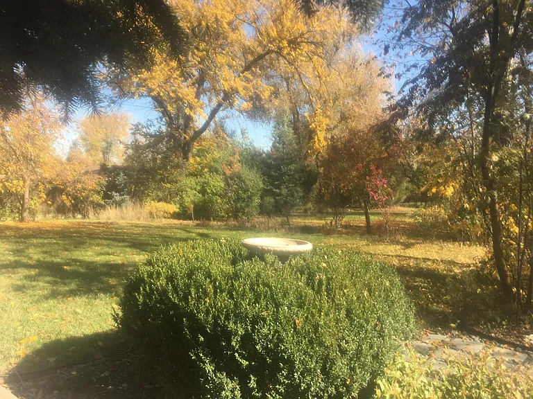 This forested property, from the dense green of summer to the splash of multi color of fall and the silhouettes of winter, has the welcome of home no matter the season.