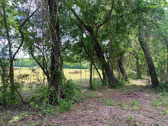 5th image of 41 Leatherwood Ln Lot 41