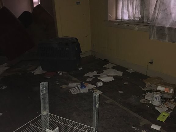3rd image of 5004 Walrond Ave