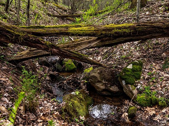 2nd image of 0 Huefner Spring Rd