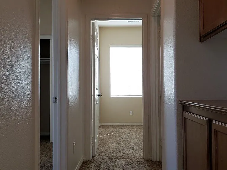 730 Nile River Dr — Photo 11