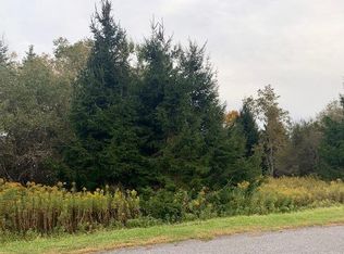 0 Champlin Rd, Jefferson, NY 12093