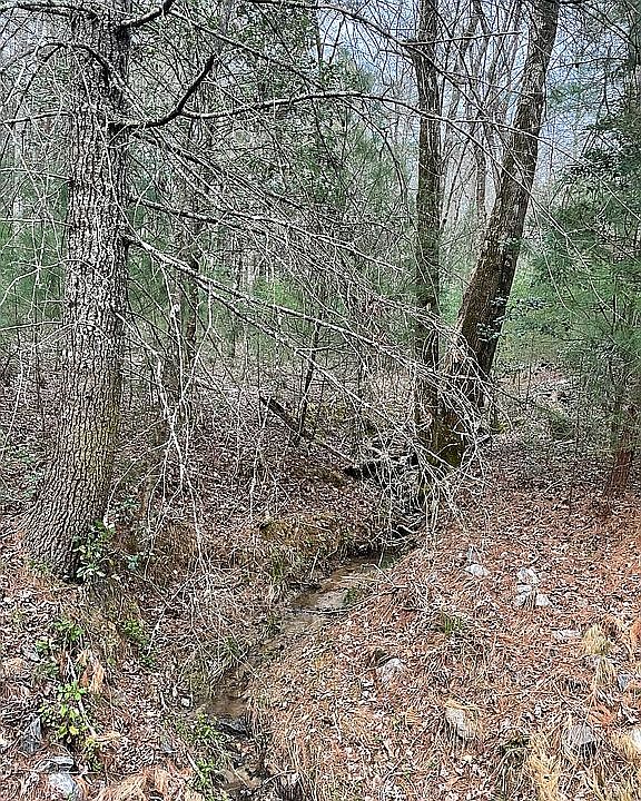 2nd image of 37 Byers Rd